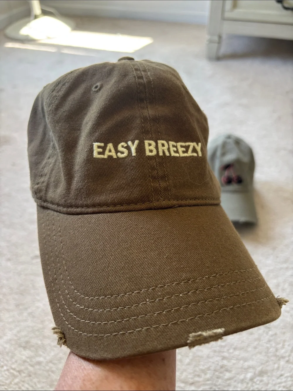 American Eagle Outfitters Womens Hats - Olive, Rust, Navy, and Brown Options